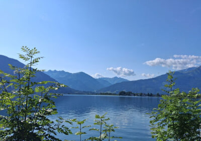 Klimawandel, Sommer und Hitze